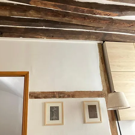 Le Petit Cocon Du Marais Apartment *